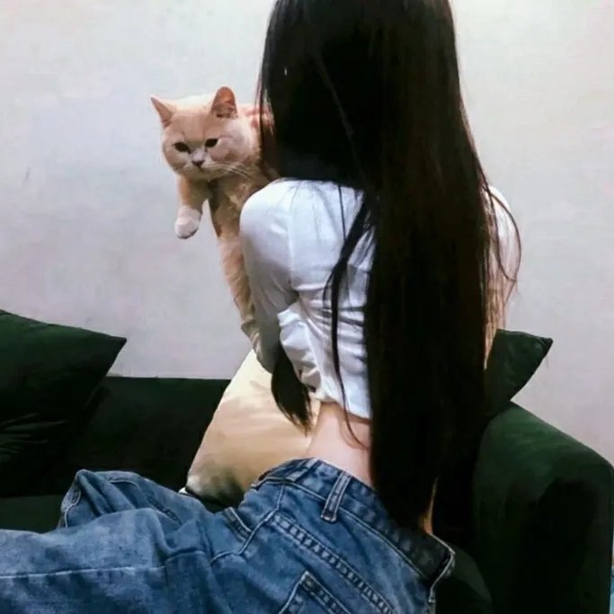 爱情36计